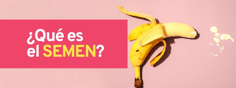 que es el semen