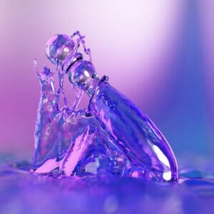 Dildo de Cristal Cecii. Biird
